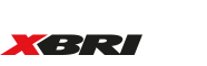 XBRI